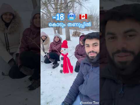 Happy winter 🇨🇦#canada #canadawinter #winter2024 #canadalife #canadaimmigration #firstsnow #trend