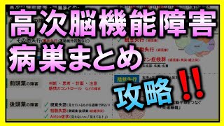 【神経内科学】高次脳機能障害・病巣まとめ