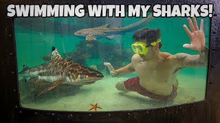 Swimming Inside My SHARK POND!! (face to face)