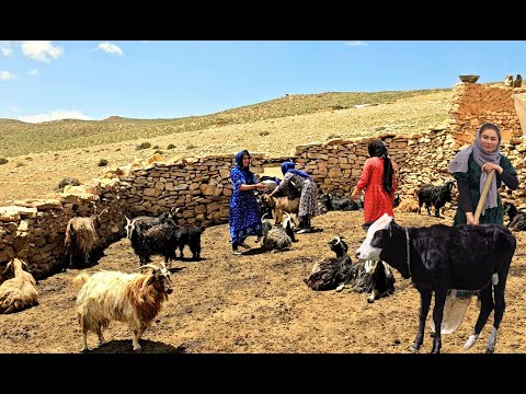 Daily life of shepherd girls | Cooking style | Thelife of girls in the most remote village