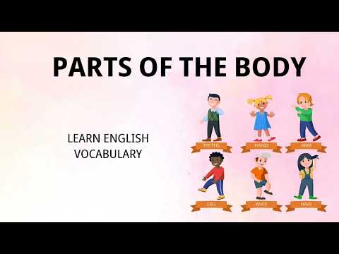 Parts of the body  - learn English Vocabulary