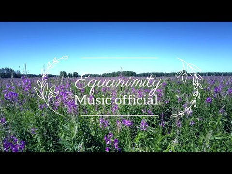 Equanimity   Relaxing Music Official