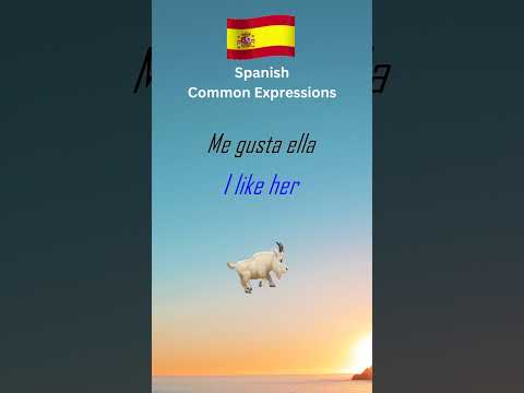 Spanish Common Expressions Part 4 #LearnSpanish