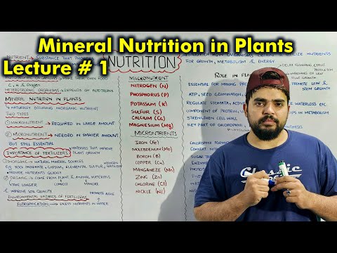 Class 9th chapter 8 Nutrition: Topic Nutrition in Plants and Fertilizers