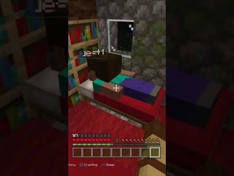 [マイクラ]こいつは…寝てるんだよ…な？ #minecraft #マイクラ