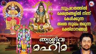 സുപ്രഭാതത്തിൽ ക്ഷേത്രങ്ങളിൽ കേൾക്കുന്ന അതേ സുഖം തരുന്ന ഗാനങ്ങൾ | Hindu Devotional Songs Malayalam