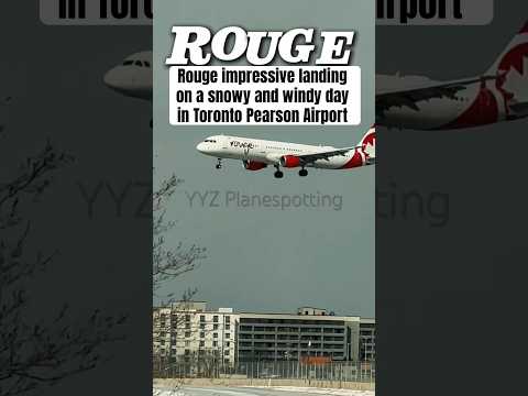 Rouge landing on a snowy and windy day in Toronto Pearson Airport #canada #aviation #yyz