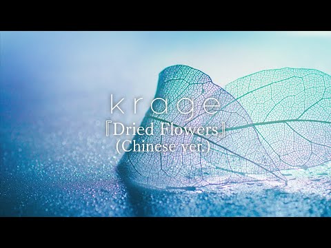 Yuuri - 「Dried flower」 Chinese ver. (Covered by krage)