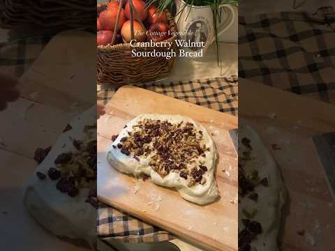 Cranberry Walnut Sourdough Bread Recipe 🥖 #sourdoughrecipe #cranberrywalnut