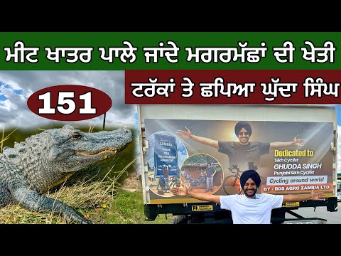 ਟਰੱਕਾਂ ਤੇ ਛਪਿਆ ਘੁੱਦਾ। ਮਗਰਮੱਛਾਂ ਦੀ ਖੇਤੀ। Crocodile Farming in Zambia