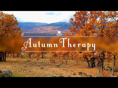 Autumn Therapy 🍂Serene Autumn Ambience | Healing Frequency Nature Meditation for Positive Energy