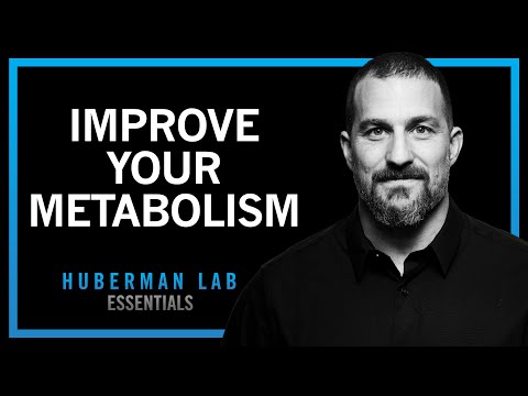 How to Control Your Metabolism by Thyroid & Growth Hormone | Huberman Lab Essentials