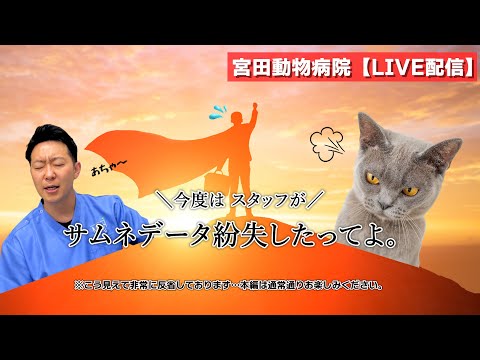 宮田動物病院 ライブ配信【MAHチャンネル】