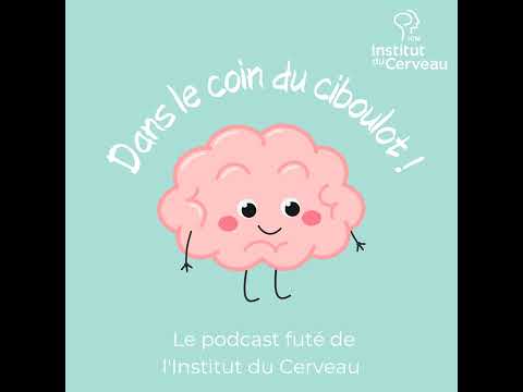 Est-ce qu’il y a des paillettes dans mon cerveau ?