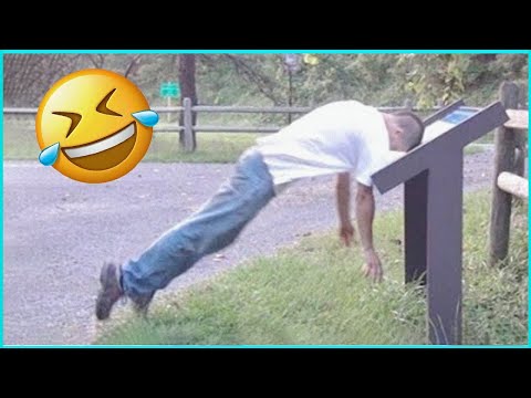 Best Funny Videos 🤣 - People Being Idiots / 🤣 Try Not To Laugh - BY Funny Dog 🏖️ #14