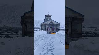 Kedarnath temple Darshan after fresh snowfall 🌨️ #Shorts