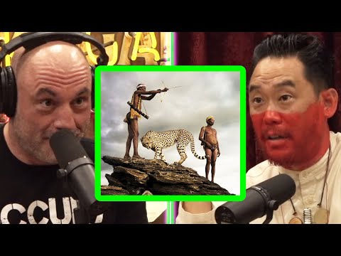 GRUESOME Hadza Tribe Hunting Story | Joe Rogan & David Choe | JRE 1965