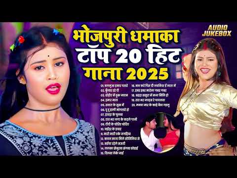 Top 10 #भोजपुरी गाने #Arkestra Songs Pooja Pandey चटकदार गाने #Bhojpuri Jukebox New Song 2025