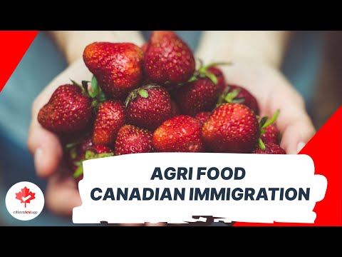 Unveiling the Impact of Agri Food Immigration on Canadian Economy