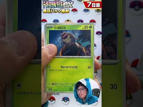 【ポケカ】ブイズ出るか！？テラスタルフェスex毎日開封！バトルパートナーズの発売まで1BOX分開封！【7日目】 #shorts #テラスタルフェス #バトルパートナーズ #開封