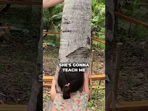 🇵🇭 Philippines Tree Climb Part 1 #filipino #philippines