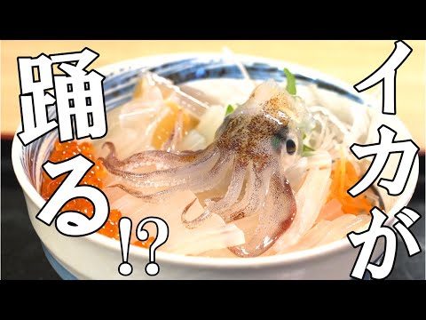 【函館朝市グルメ】とにかく新鮮で美味しいイカを食べるならココ！「一花亭たびじ」｜函館観光｜Vlog