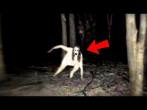 Top 50 Scariest Videos of 2022!