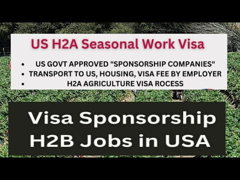 USA unskilled jobs with Visa sponsorship| how to apply for seasonal jobs in USA