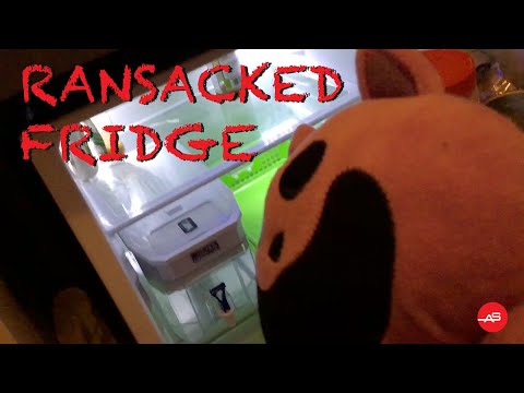 Ransacked Fridge