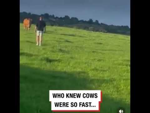 Who knew cows were so fast 😂😂😂 #Funny #Fail