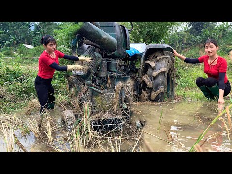 A tractor was left in the field for a long time. The girl is going to pull it out of the mud.