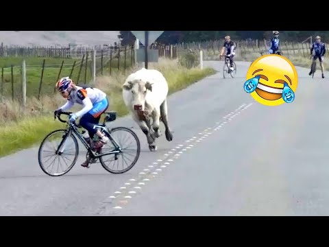 Best Funny Videos 🤣 - People Being Idiots / 🤣 Try Not To Laugh - BY Funny Dog 🏖️ #5