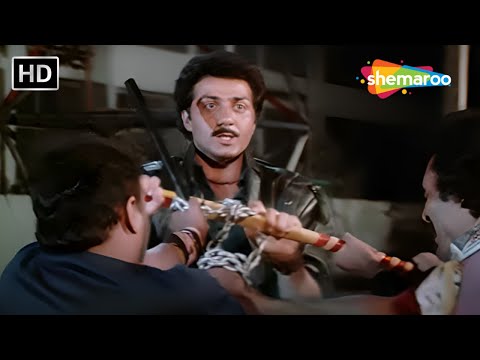 Sunny Deol Action Scene | Meenakshi Sheshadri, Anil Kapoor | Inteqam