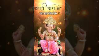 #bappalovers #ladkabappaganpatibappa #bappalovesong #ganpati #ganpatibappamorya