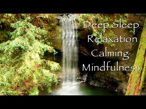 Deep Sleep & Relaxation- Calming Mindfulness Meditation Stress Reduction