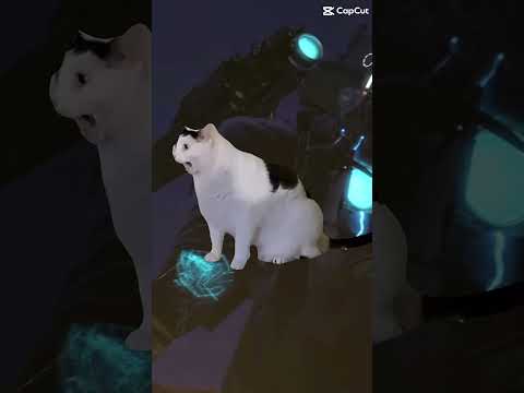 アプカメが煽られて猫マニの猫を潰してしまった part2