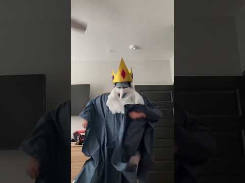 The Ice King APPEARS! Very homemade and last minute Halloween costume #diy #halloween #adventuretime