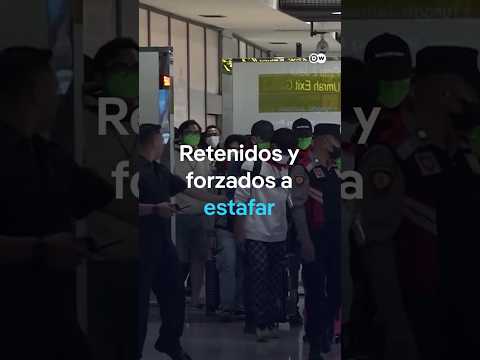 ¿Forzados a estafar? Esta fue la situación de personas retenidas #shorts