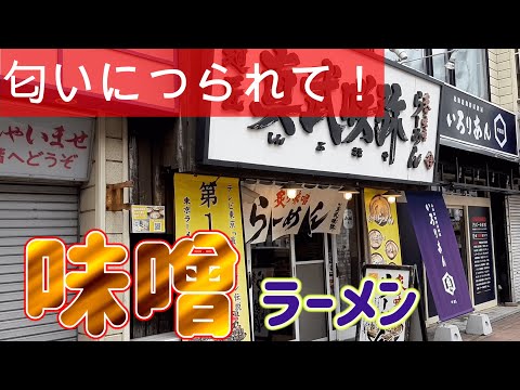 香ばしい味噌スープ！真武咲弥で味噌ラーメンを頂く。2023/9【年間250杯ラーメン】