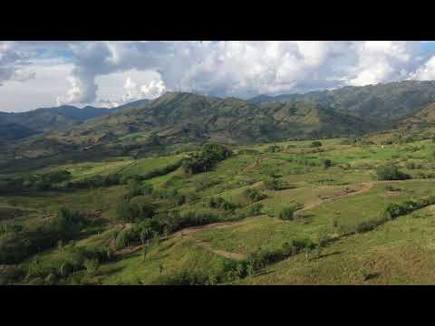 Video acercándose desde El Bosque de las Orquídeas