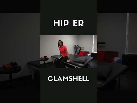 Hip Er Clamshell #exercise #rehabilitation #youtubeshorts #physicaltherapy #rehab #exercisetips