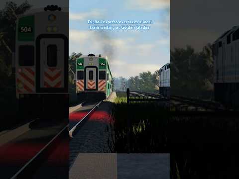 Tri-Rail express overtakes a local train waiting at Golden Glades