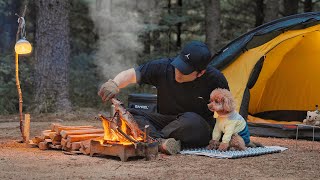 Solo Camping in Forest with My Dog . Roast leg of lamb in the Wild . Wood Stove ASMR