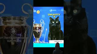 Funny football Match 😁 #football #funny #soccer #edit #cat #dog #messi #trending #shorts #youtube