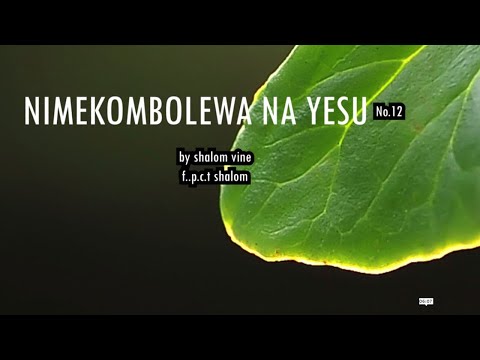 NIMEKOMBOLEWA NA YESU (AUDIO GOSPEL) | WIMBO WA WOKOVU | SHALOM VINE CHOIR