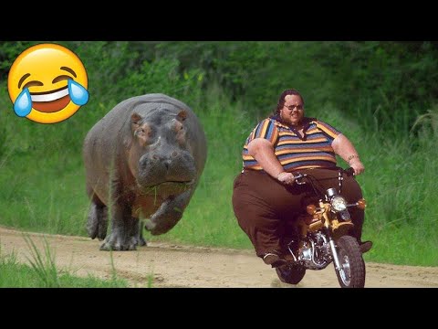 Best Funny Videos 🤣- People Being Idiots  / 🤣 Try Not To Laugh