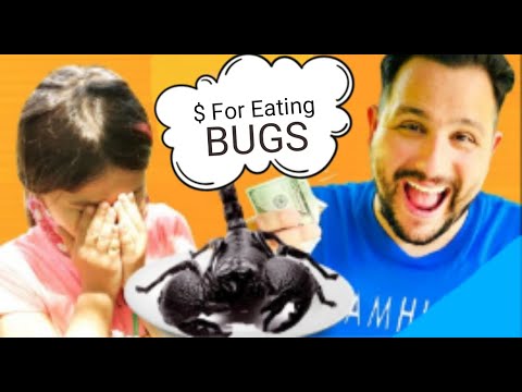 Getting Money For Eating Bugs... New YouTube Series