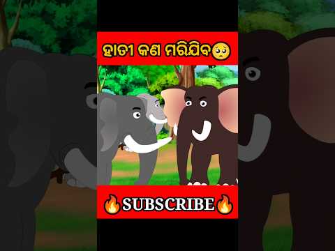 ହାତୀ କଣ ମରିଯିବେ😱 #shorts #youtubeshorts #odiagapa #natia #odiacomedy #odiamoralstory #kahani