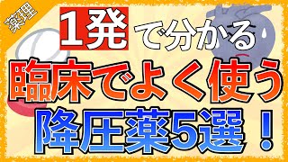 【循環器NS必見！】臨床でよく使う降圧薬5選！〜それぞれの作用機序と特徴〜