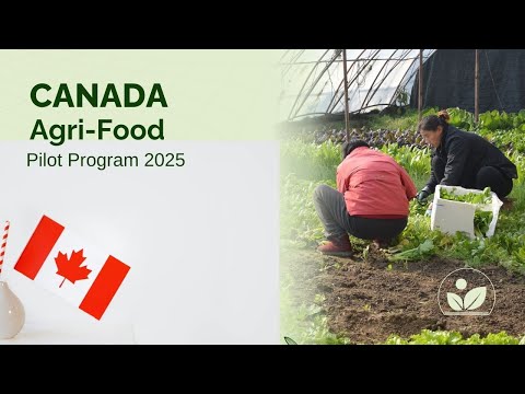 Canada Agri Food Pilot Program 2025